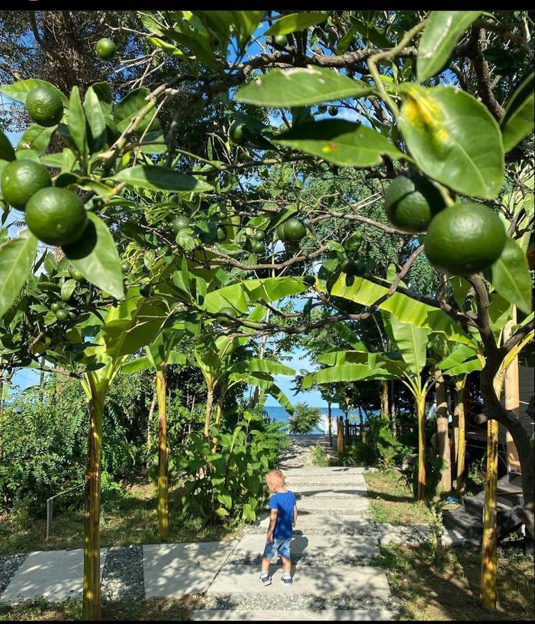 Aqua Palm Resort Sukhumi Ngoại thất bức ảnh